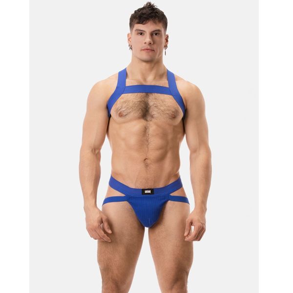 Barcode Berlin ANTON Swim Jock| Royal