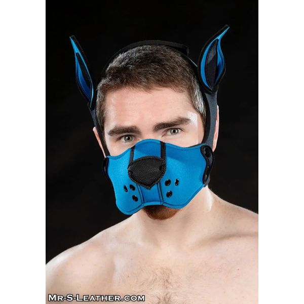 Mr. S Leather  Neoprene K9 Muzzle Kit - Cobalt