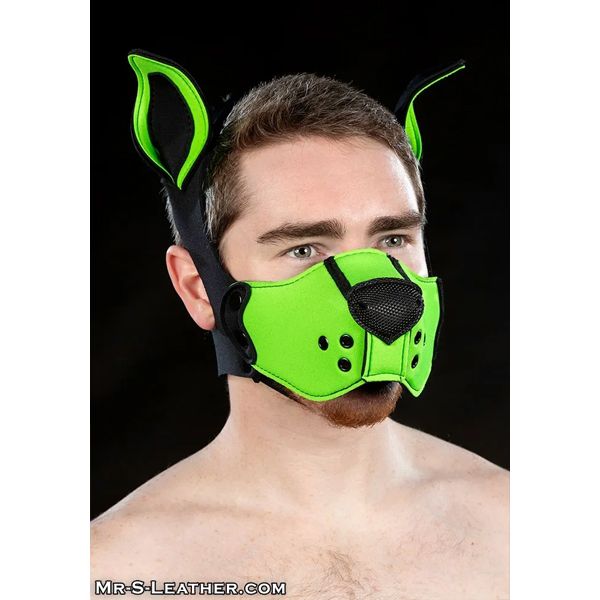 Mr. S Leather  Neoprene K9 Muzzle Kit - Lime