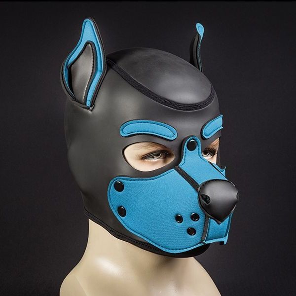 Mr S Leather Neoprene K9 Puppy Hood | Black/Aqua