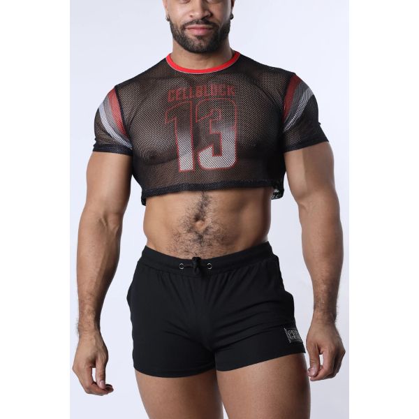 Timoteo Chain Reaction Mesh Crop Top | Red