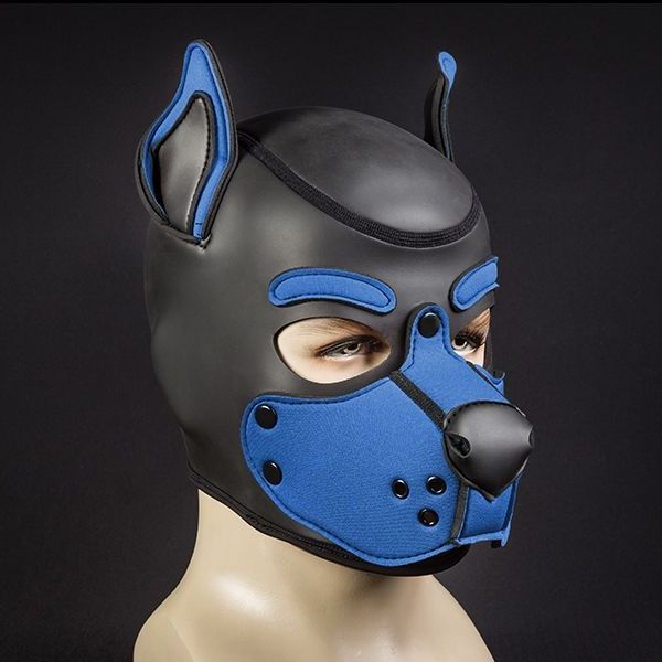 Mr S Leather Neoprene K9 Puppy Hood | Black/Cobalt