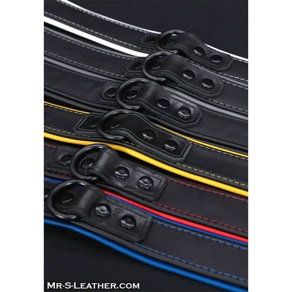 Mr.S Leather Hardline Collar | 11 Colours