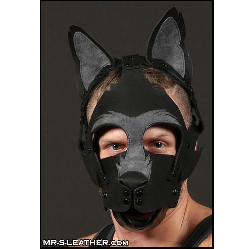 Mr S Leather HOWLER Muzzle Grey