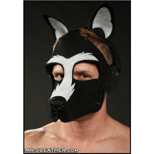 Mr S Leather HOWLER Muzzle White