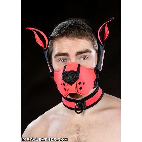 Mr. S Leather  Neoprene K9 Muzzle Kit - Pink