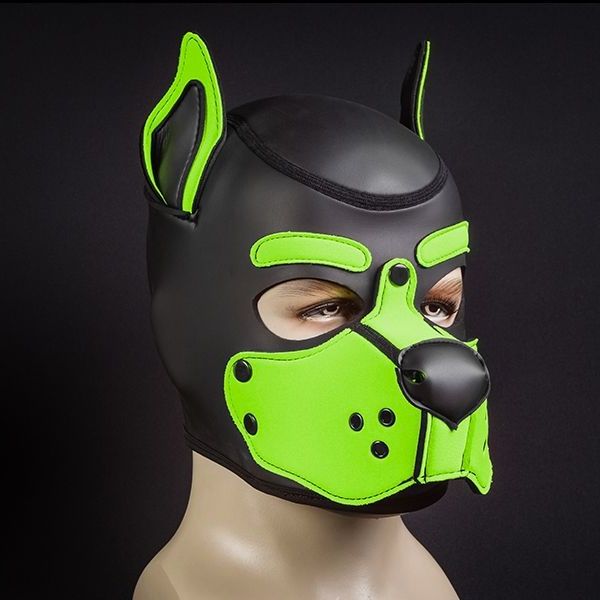 Mr S Leather Neoprene K9 Puppy Hood | Black/Lime Green