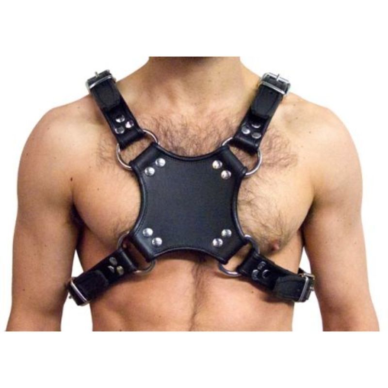 Mister B Leather WALKING HARNESS | Black