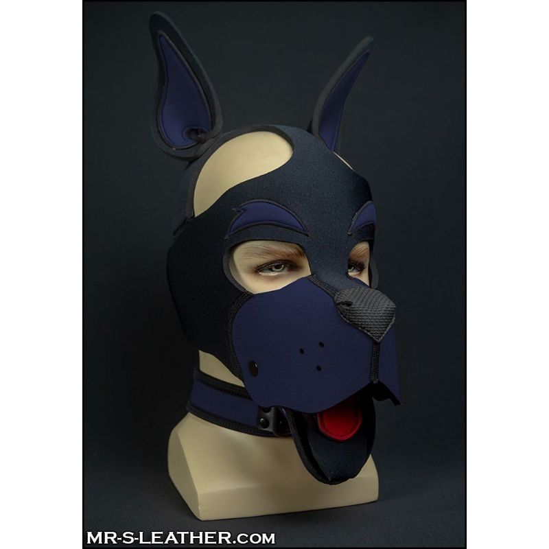 Mr S Leather Neo WOOF! Head Harness | Black & Navy Blue