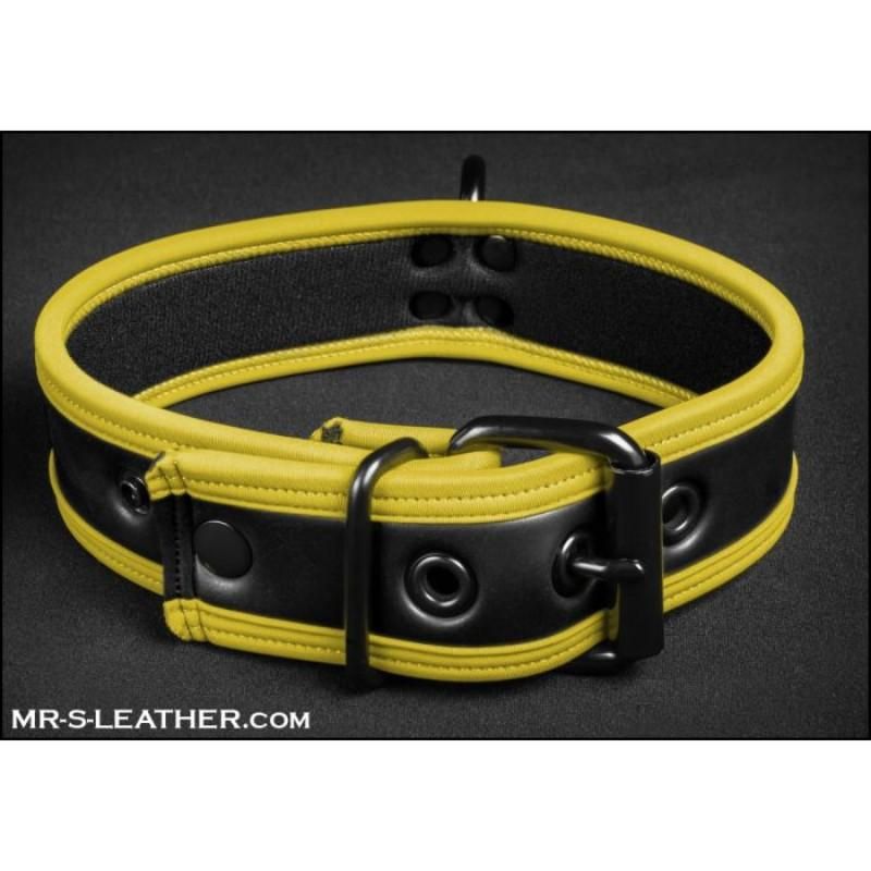 Mr S Leather NEO Puppy Collar | Black with Yellow Piping