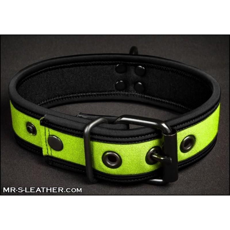 Mr S Leather NEO Puppy Collar: Small to Large | Lime Green