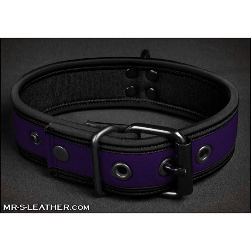Mr S Leather NEO Puppy Collar: Small to Large | Purple