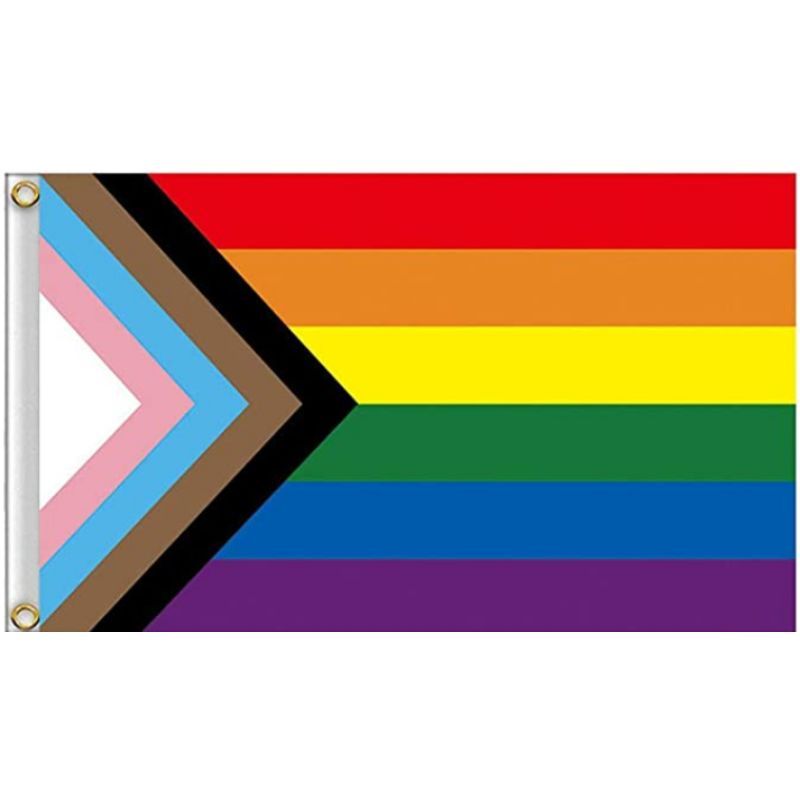 Progress LGBTQIA+ Pride Flag | 90 x 150