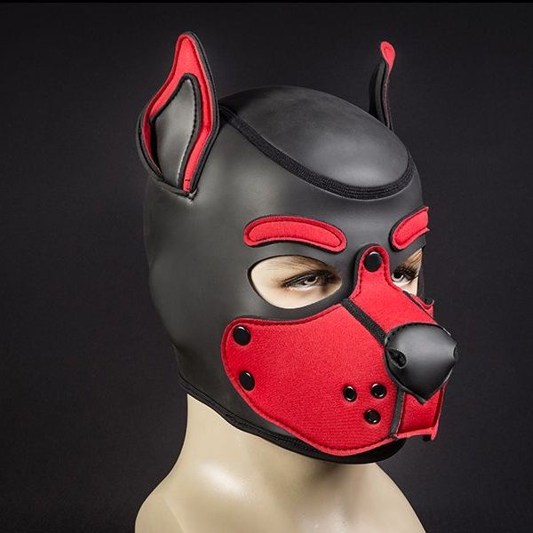 Mr S Leather Neoprene K9 Puppy Hood | Black/Red