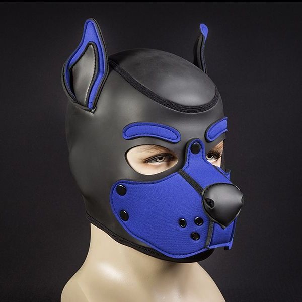 Mr S Leather Neoprene K9 Puppy Hood | Black/Royal Blue