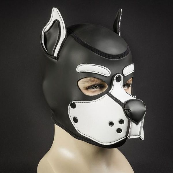 Mr S Leather Neoprene K9 Puppy Hood | Black/White