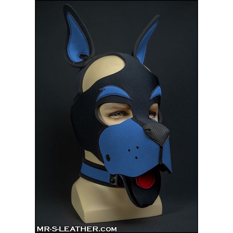 Mr S Leather Neo WOOF! Head Harness | Black & Cobalt Blue