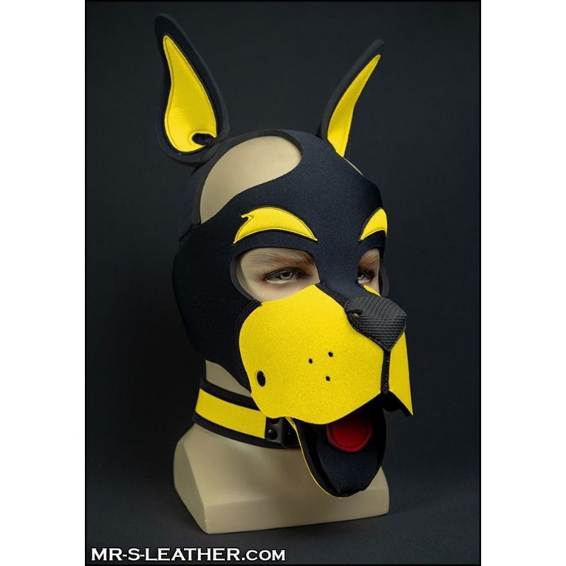 Mr S Leather Neo WOOF! Head Harness | Black & Yellow