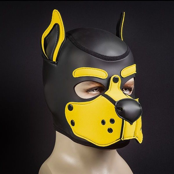 Mr S Leather Neoprene K9 Puppy Hood | Black/Yellow