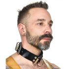 Vilain Garçon Heavy Rubber Choker Collar