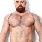 Dark Room Steel Shoulder Harness | Silver Steel