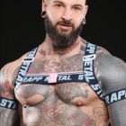Strapp Metal ENHANCED HARNESS - CHICAGO