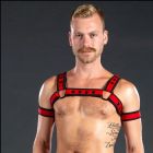 Mr S Leather Neoprene BOLD COLOR Bulldog Harness | Red/Black
