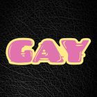 Master of the House Pin - GAY