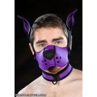 Mr. S Leather  Neoprene K9 Muzzle Kit - Purple