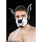 Mr. S Leather  Neoprene K9 Muzzle Kit - White