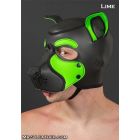 Mr S Leather NEOPRENE FRISKY Puppy Hood | Black & Lime