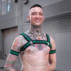 Mr. S Leather Neo Bold Color Bulldog Harness - Hunter