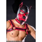 Build Your Own Neoprene K9 Hood | Small, XL or XXL