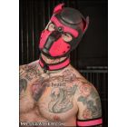Mr S Leather NEOPRENE Puppy Hood | Black & Pink
