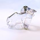 Titus Chastity Trainer Cage & Rings