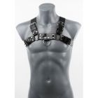 VAST Bulldog Chest Harness | Black