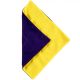 VIVIWIPE Latex Clothing & Gear Polishing Cloth