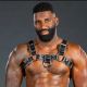 Mr. S Leather Piped Bulldog Harness Black/Grey