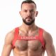 Leader G.I Harness | Red
