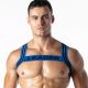 Leader Loaded Harness | Blue