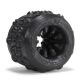 Oxballs NAILED Ballstretcher | Black