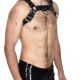 Vilain Garçon Heavy Rubber Bulldog Harness