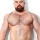 Dark Room Steel Shoulder Harness | Silver Steel