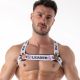 Leader ID Harness PIG | White