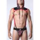 Cell Block 13 Kennel Club Lightning Hoodie Harness | Red
