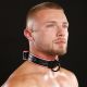Strapp Metal VARSITY DOG COLLAR - BLACK/RED/WHITE