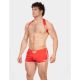 BARCODE BERLIN Short Norfok - Red