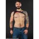 Mr S. Leather Centurion Shoulder Harness | Red