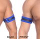 Titus Neoprene Bicep Strap Black/Blue