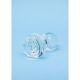 Clarity Glass Butt Plug - Utopian Bloom